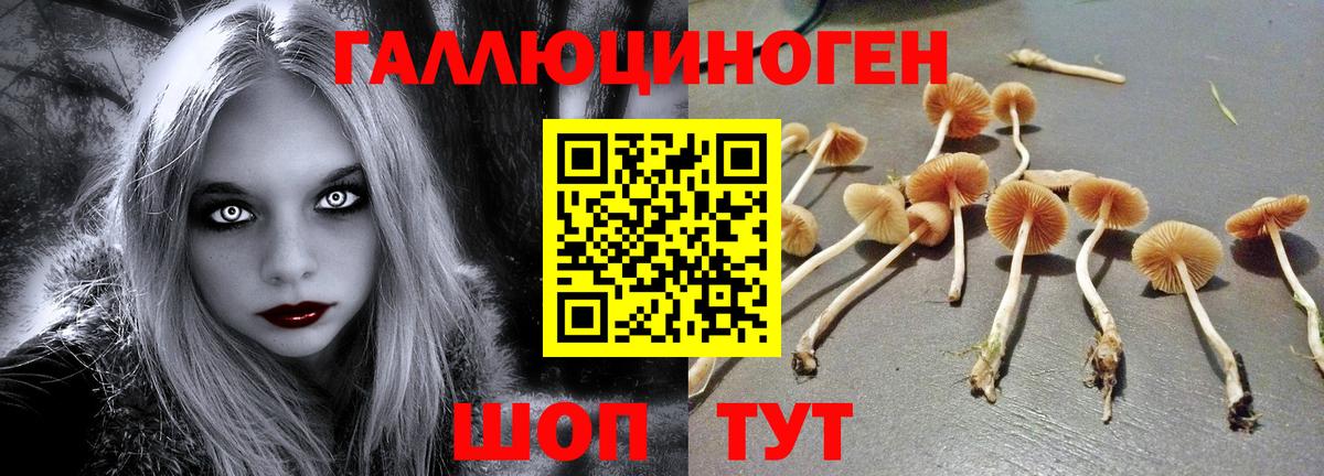 Галлюциногенные грибы мухоморы  Псилоцибиновые грибы прущие грибы  Вход с VPN  Изобильный 